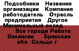 Подсобники › Название организации ­ Компания-работодатель › Отрасль предприятия ­ Другое › Минимальный оклад ­ 15 000 - Все города Работа » Вакансии   . Брянская обл.,Сельцо г.